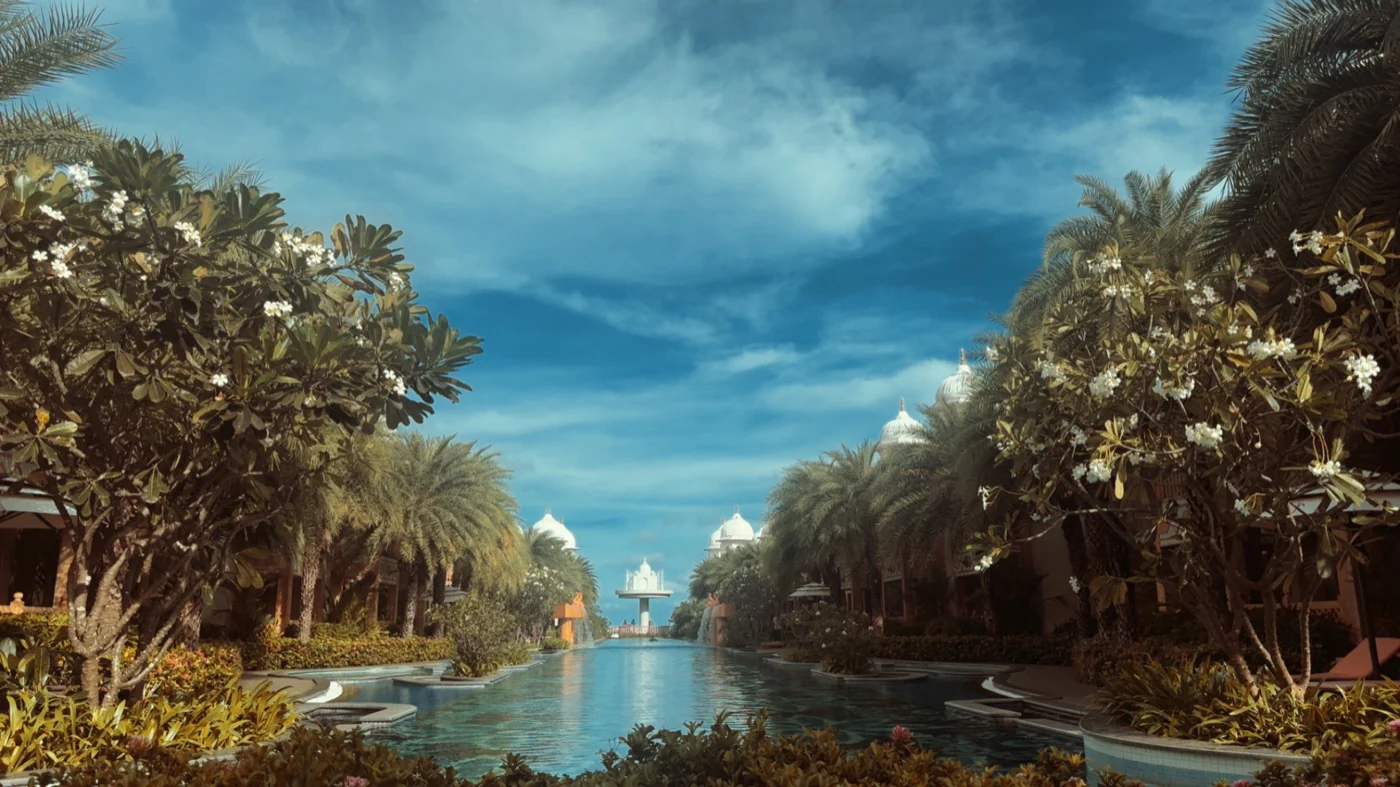 A pool framed by palm trees beneath a blue sky